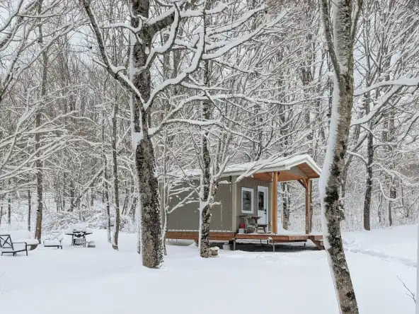 A Field and Fern cottage in winter, a cozy place to stay near Ski Wentworth
