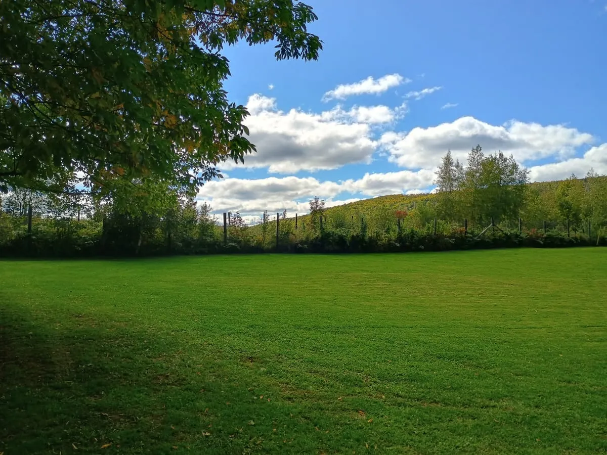 Field and Fern Cottages vacation rental near Tatamagouche Nova Scotia