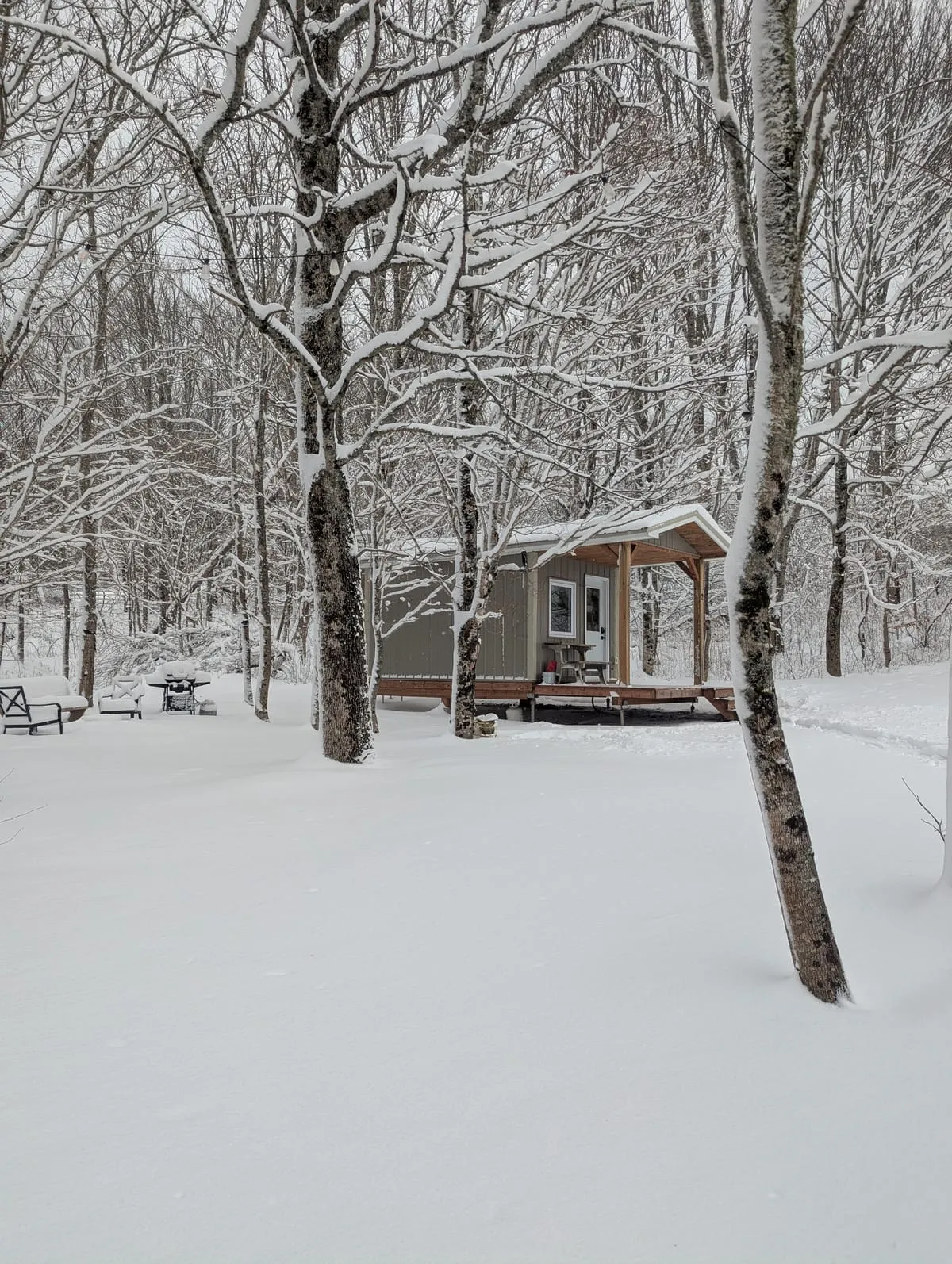 Field and Fern Cottages vacation rental near Tatamagouche Nova Scotia