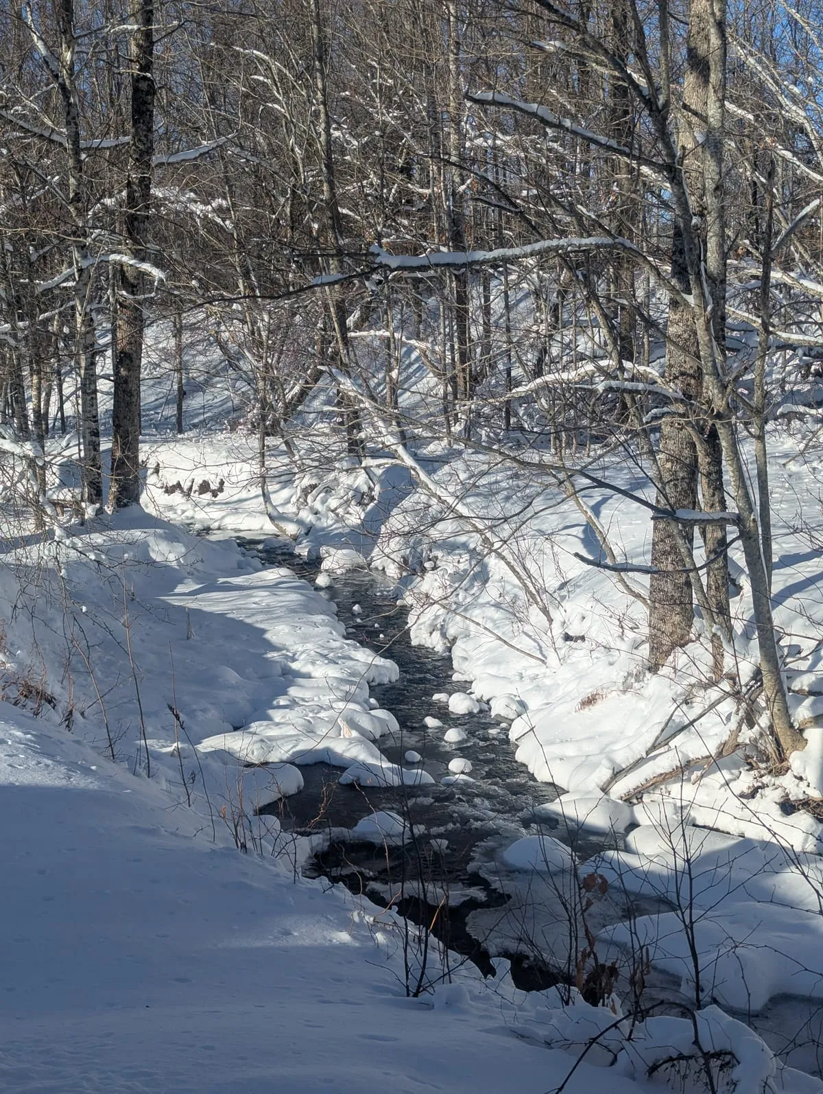 Field and Fern Cottages vacation rental near Tatamagouche Nova Scotia