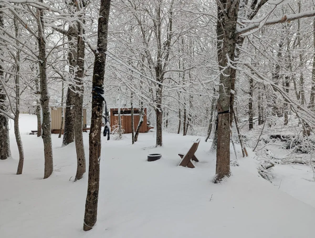 Field and Fern Cottages vacation rental near Tatamagouche Nova Scotia